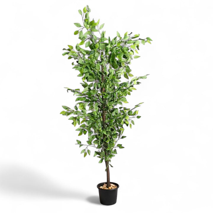 Benjamina Artificial Tree