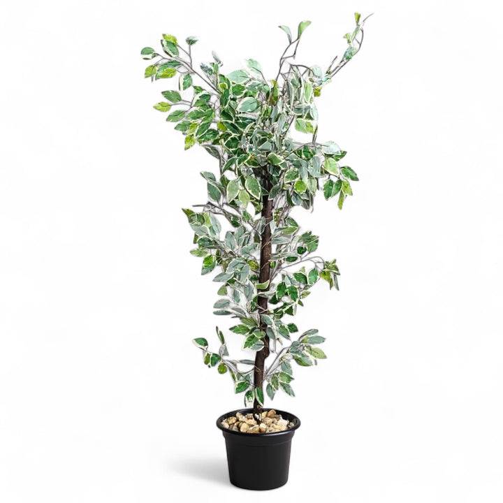 Ficus Variegated Artificial Tree