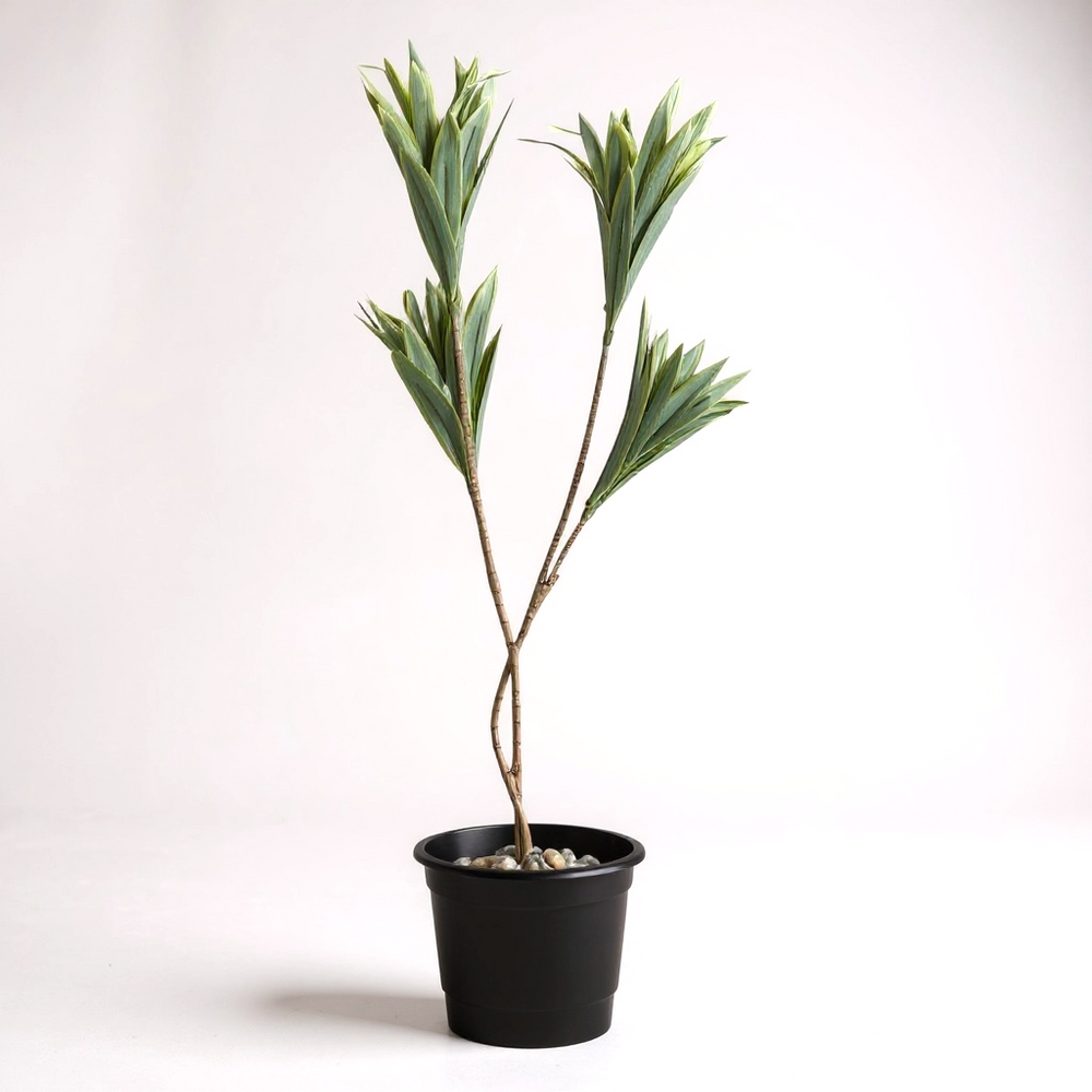 Artificial Yucca plant in black pot with decorative stones