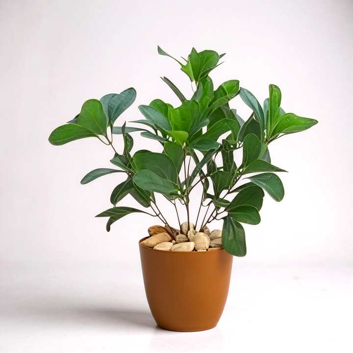 Mini Artificial Plant in Brown Pot with Pebbles