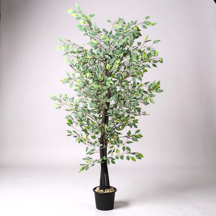 Ficus Variegated Artificial Tree
