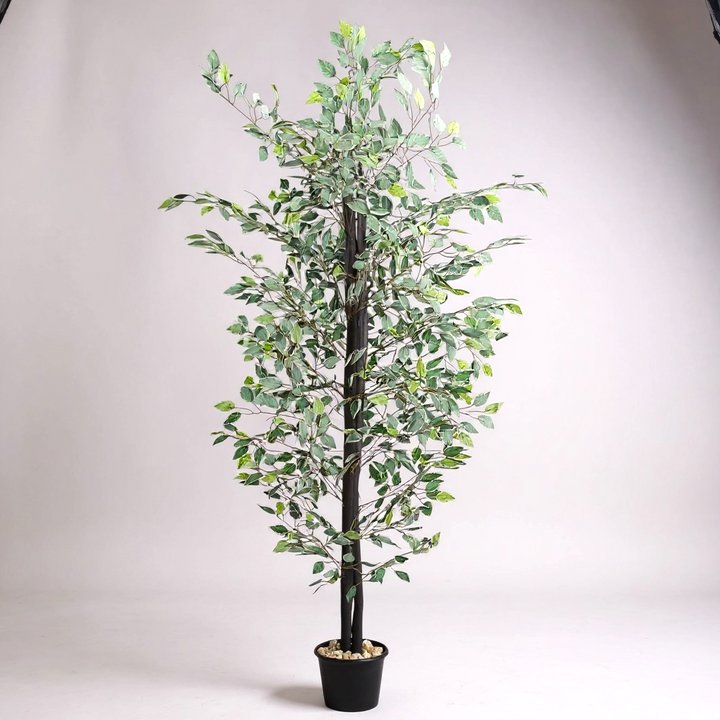 Ficus Variegated Artificial Tree