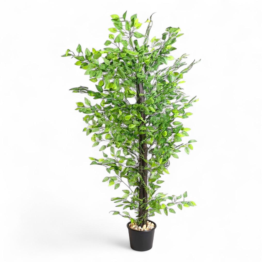 Benjamina Artificial Tree