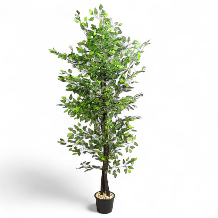 Benjamina Artificial Tree