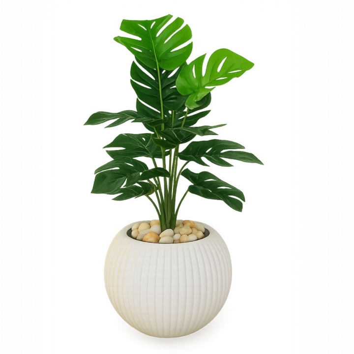 Monstera - Artificial Plant in White Ribbed Pot
