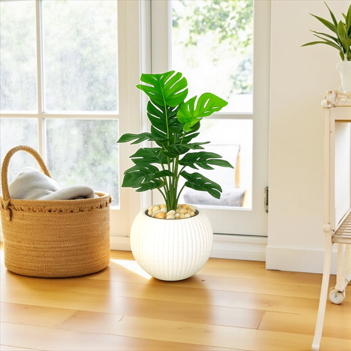Monstera - Artificial Plant in White Ribbed Pot