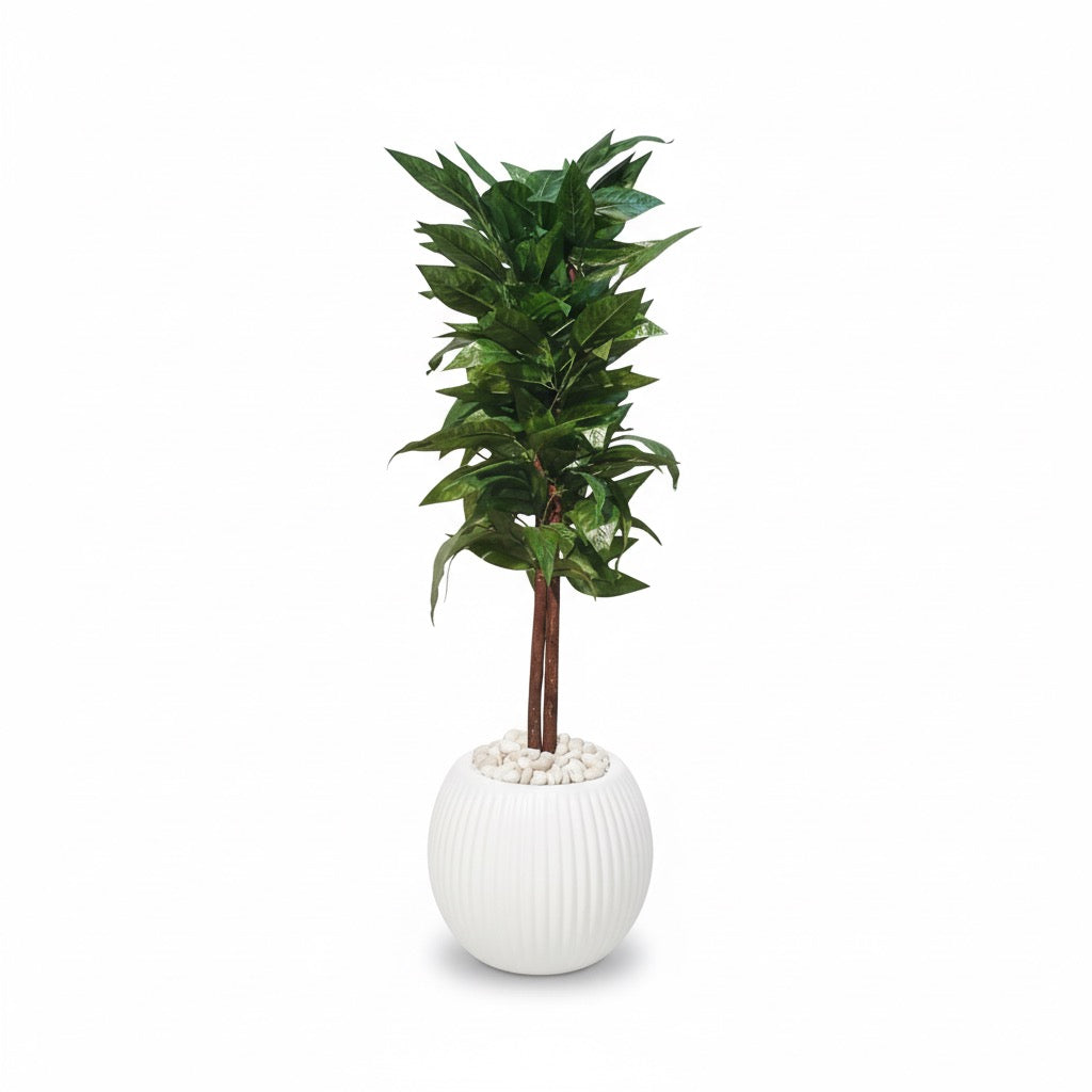 Artificial Laurel Leaf Tree in White Ribbed Pot