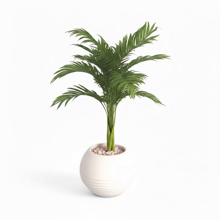 Artificial Palm Plant in Ribbed Pot with Pebbles