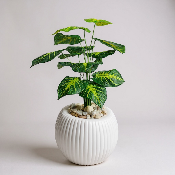 Artificial Dieffenbachia Plant in Short Ribbed Pot