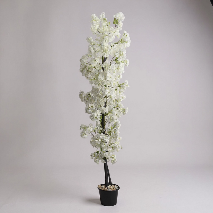 Cherry Blossom Tree - White