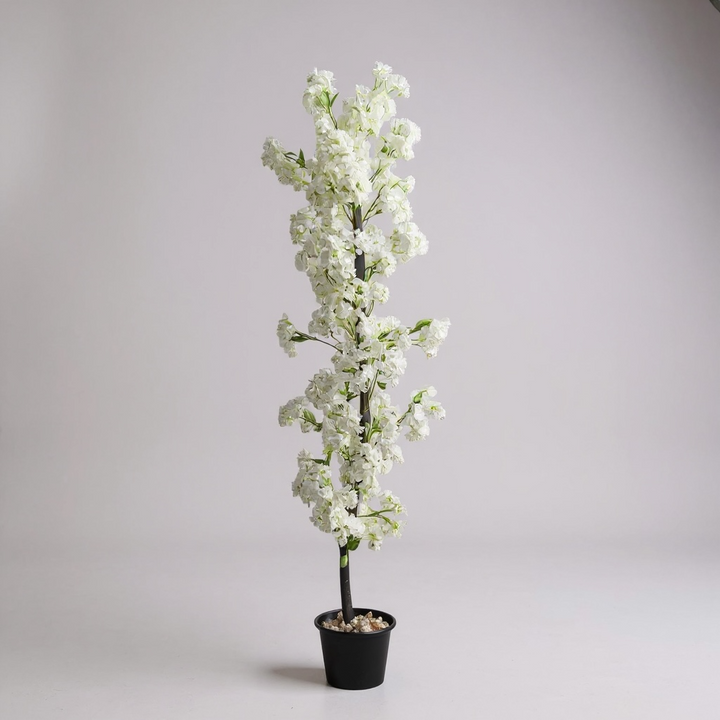 Cherry Blossom Tree - White