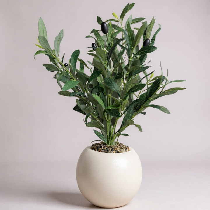 Artificial Olive Plant in Round White Pot