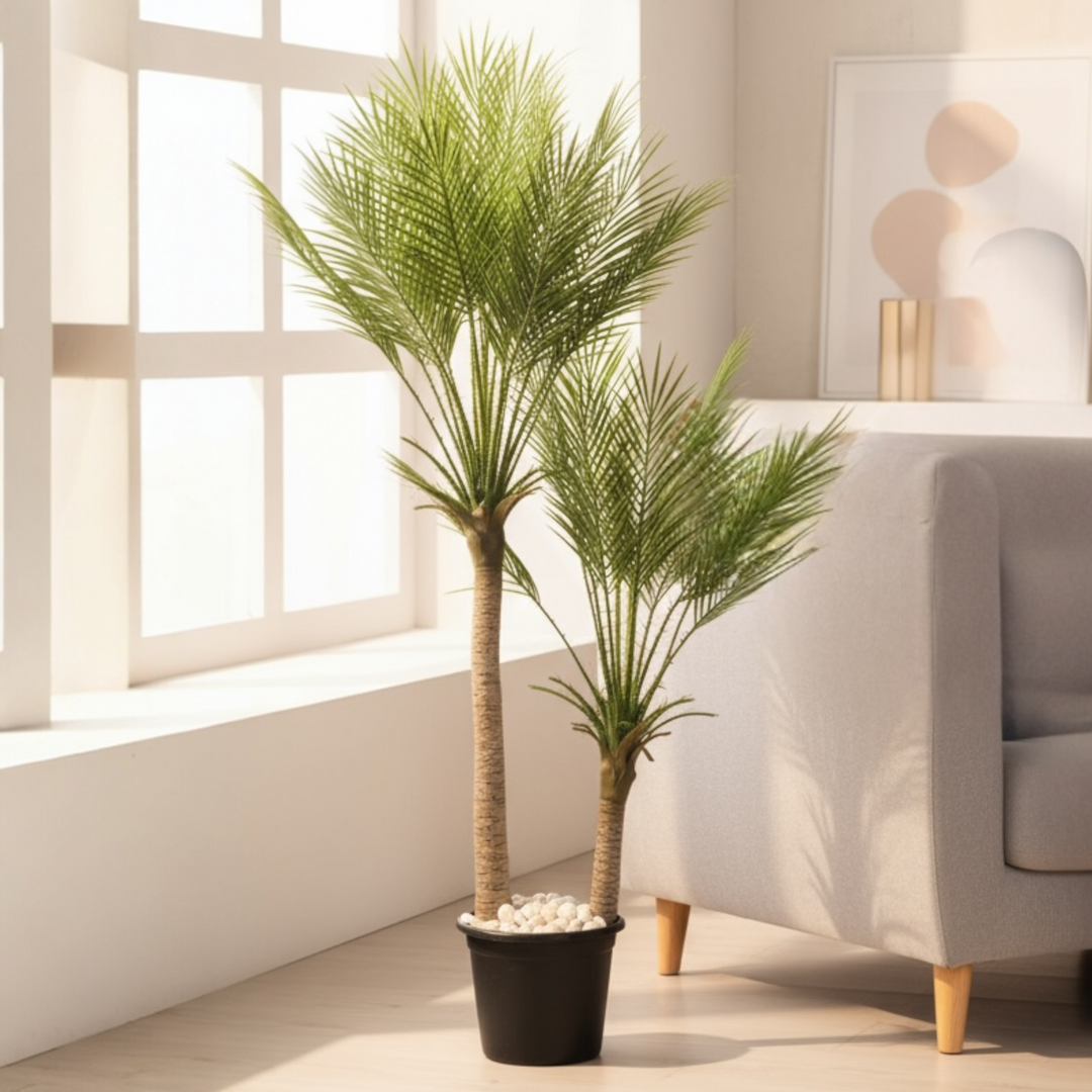 Artificial palm tree with twin trunks and green fronds in a black pot beside a sofa