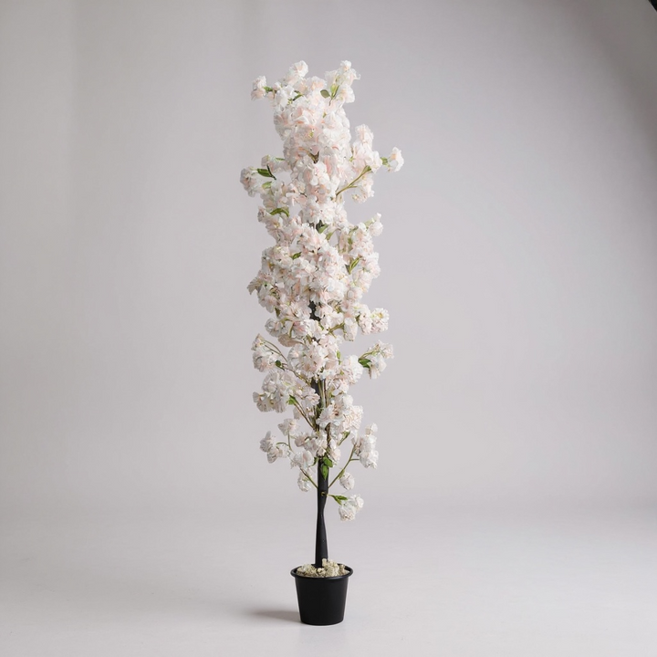 Cherry Blossom Tree - Light Pink