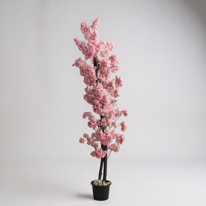 Cherry Blossom Tree - Pink