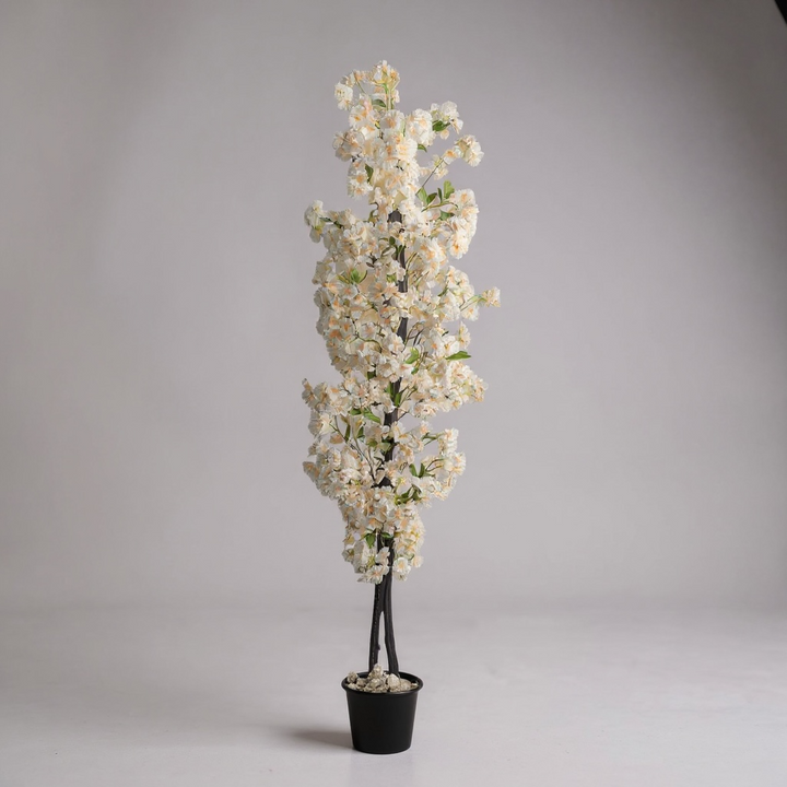 Cherry Blossom Tree - Cream
