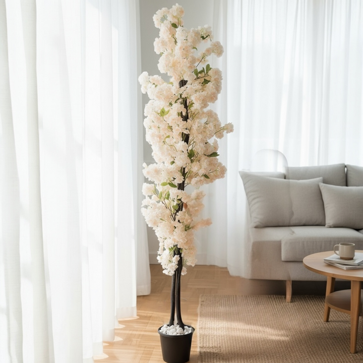 Cherry Blossom Tree - Cream