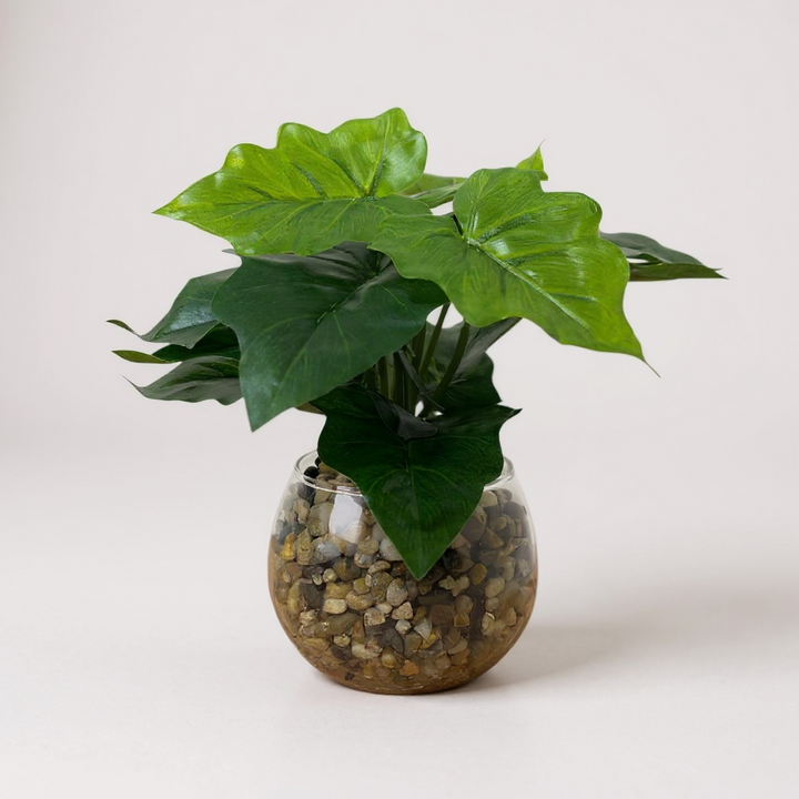 Artificial Green Plant in Glass Vase