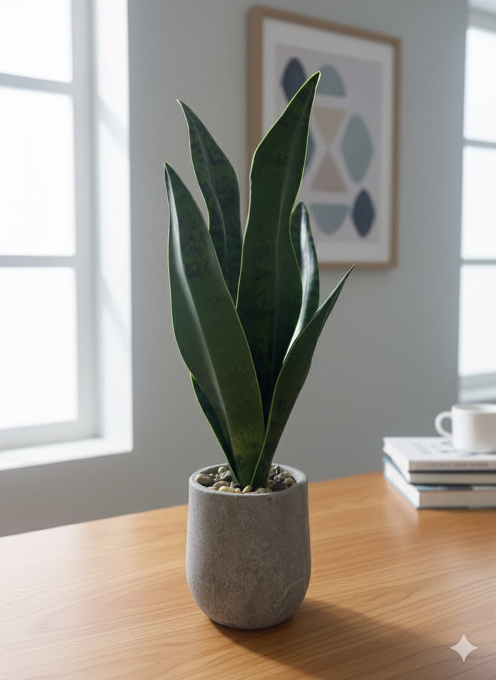 Artificial Snake Plant in Stone Pot