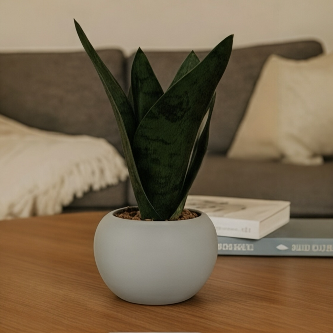 Artificial snake plant in matte white pot on wooden table