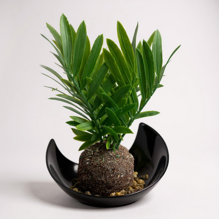 Artificial Palm Kokedama in Modern Bowl