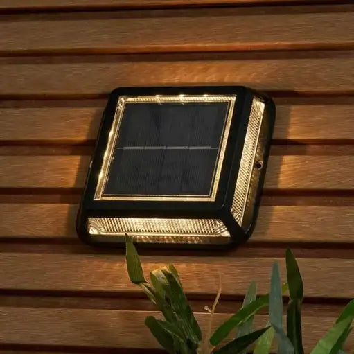 Solar Outdoor Pathway Lights