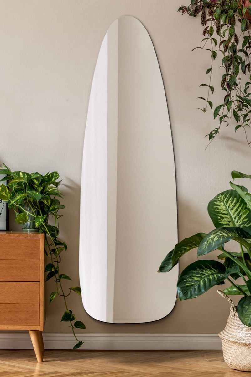 Tall, oval-shaped mirror leaning against a wall with plants around