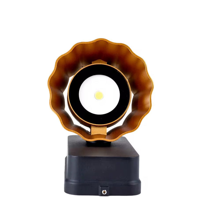 Black & Gold Wall Sconce