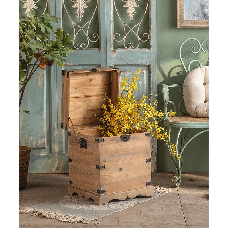 Rustic Wooden Storage Chests with Iron Accents Set of 2