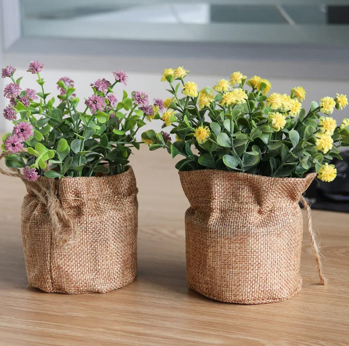 Yellow Potted Accent Plant set of 4 colors