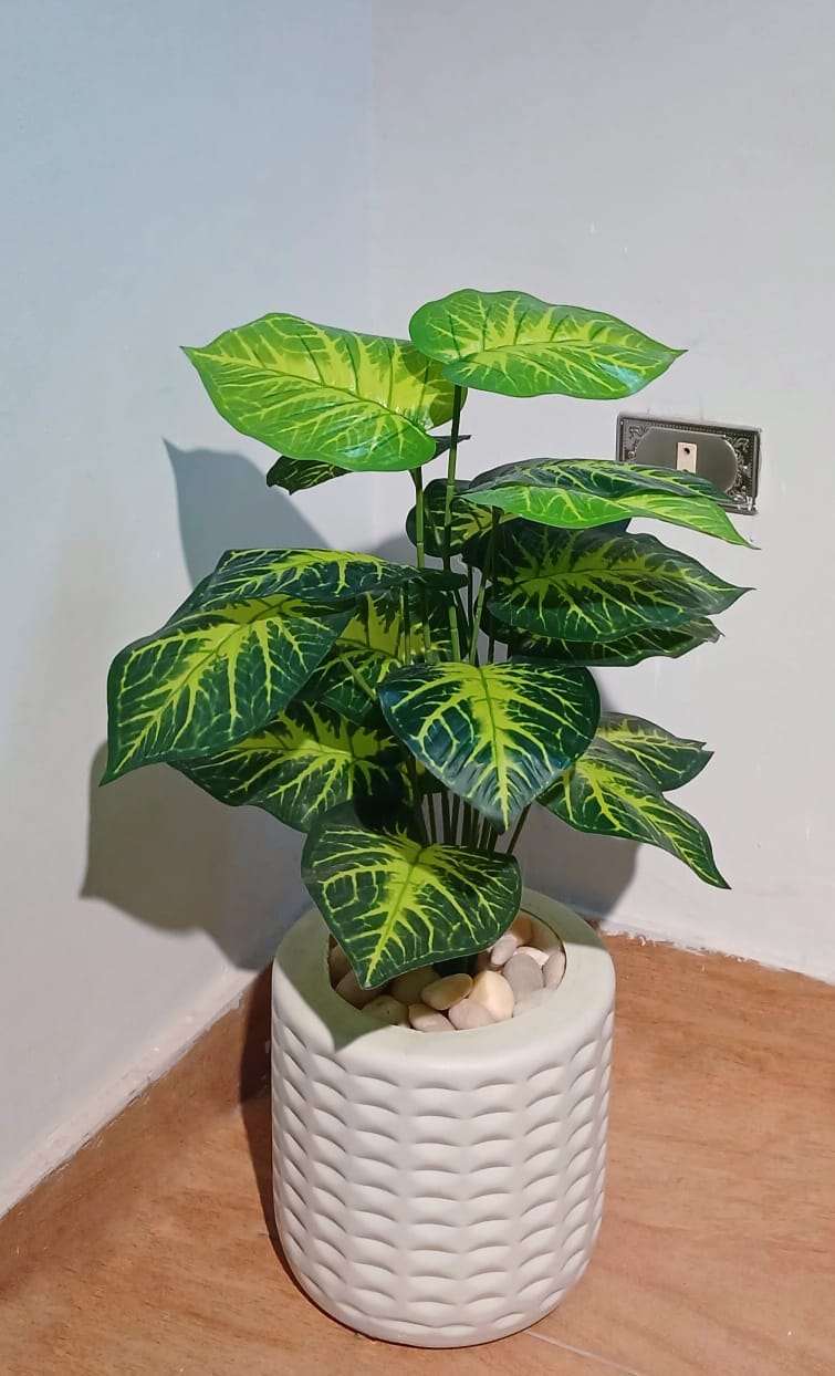 Mini Artificial Dieffenbachia Plant in Small White Textured Pot