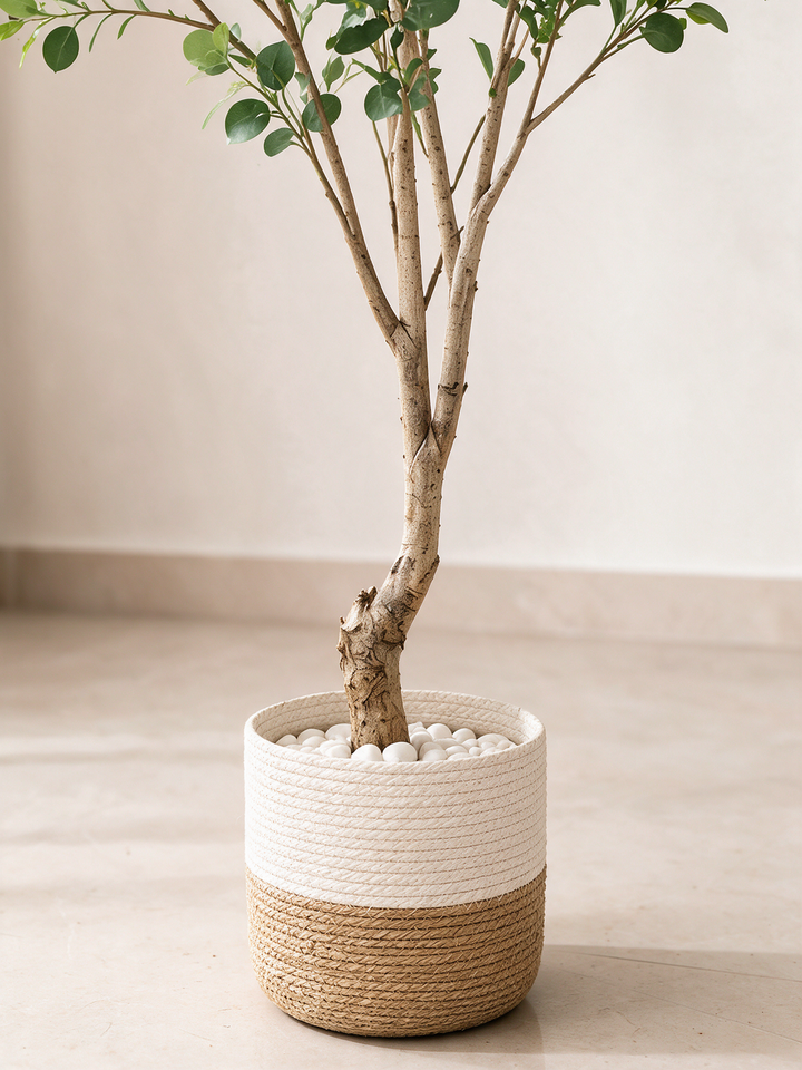 Close-up of textured tree trunk, white pebbles and cream and tan woven planter