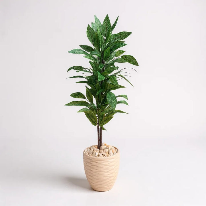 Artificial Broad Leaf Tree in Tall White Textured Pot