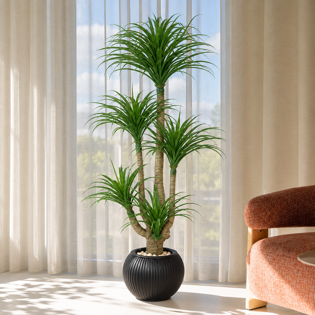 165 cm artificial multi-head dracaena with arching green leaves and branching trunks in a spherical black ribbed pot beside sheer curtains.