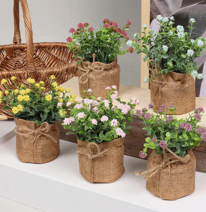 Yellow Potted Accent Plant set of 4 colors