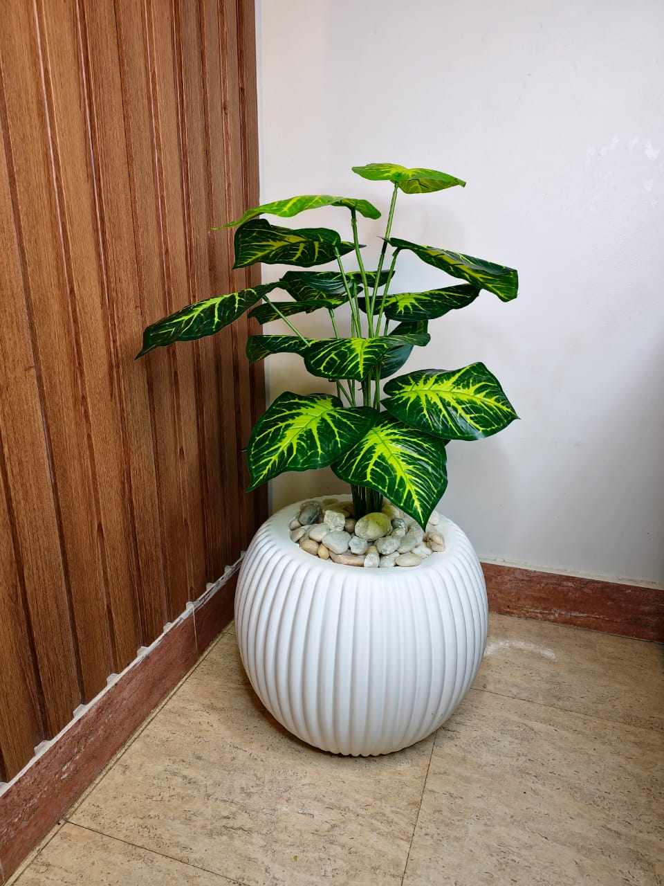 Artificial Dieffenbachia Plant in Short White Ribbed Ceramic Pot
