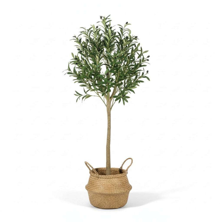 Artificial Olive Tree in Woven Basket