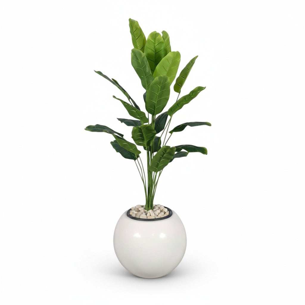 Artificial Banana Plant – Fiberglass White Pot