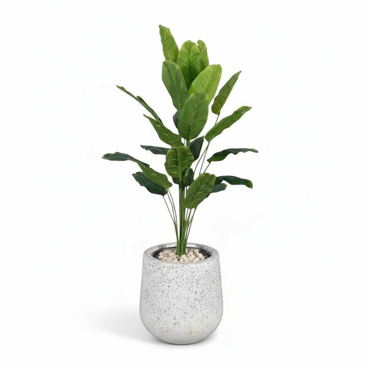 Artificial Banana Plant – Stone Texture Pot