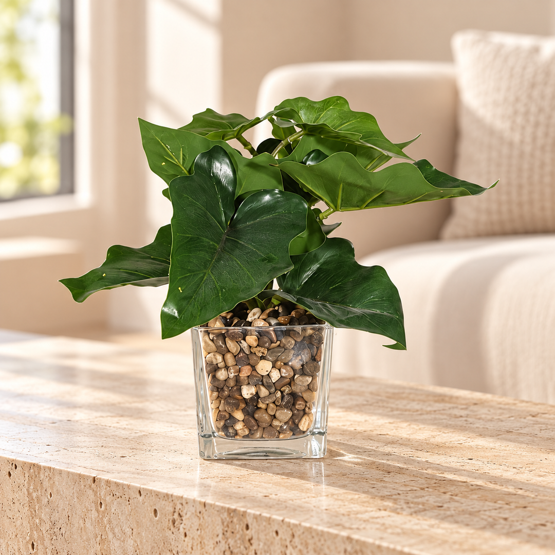 Artificial dark green arrowhead foliage in a clear square pot filled with decorative pebbles styled on a travertine table in an elegant neutral living room