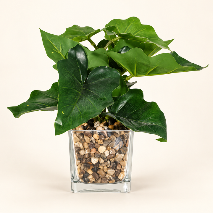 Artificial dark green arrowhead foliage in a clear square pot filled with decorative pebbles on an ivory studio background