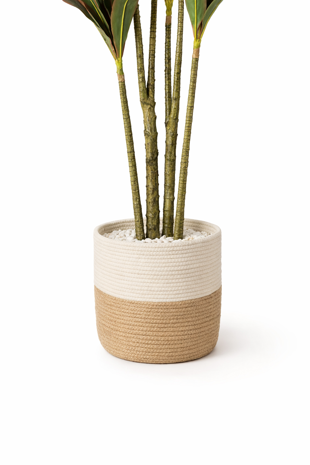 Artificial Red-Green Dracaena Tree – 170 cm | Woven Planter — trunk and original planter close-up