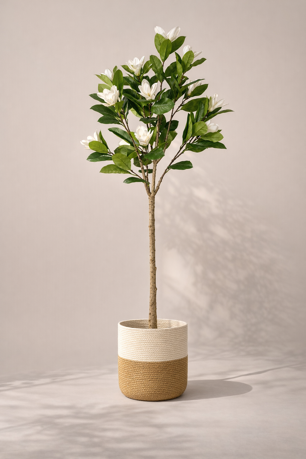 Artificial White Magnolia Tree – 160 cm | Two-Tone Woven Planter — full studio view