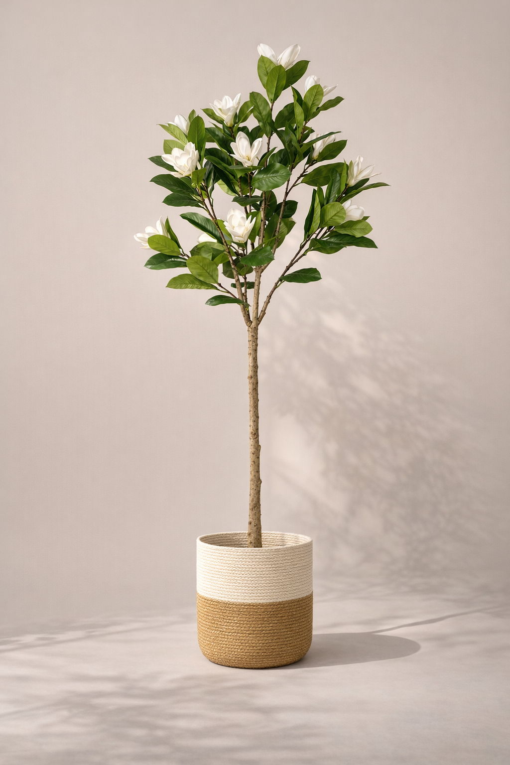 Artificial White Magnolia Tree – 160 cm | Two-Tone Woven Planter — full studio view