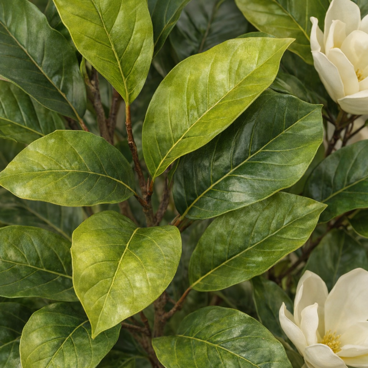 Artificial White Magnolia Tree – 170 cm | White Ribbed Pot — foliage close-up