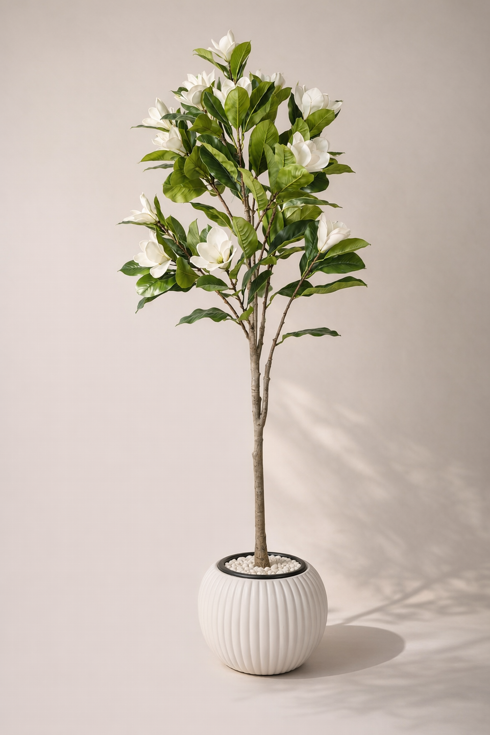 Artificial White Magnolia Tree – 170 cm | White Ribbed Pot — full studio view