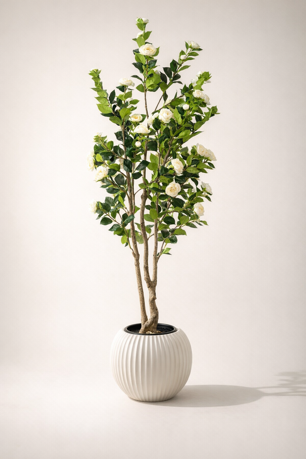 White Flowering Artificial Tree in White Ribbed Pot – 160 cm — full studio view