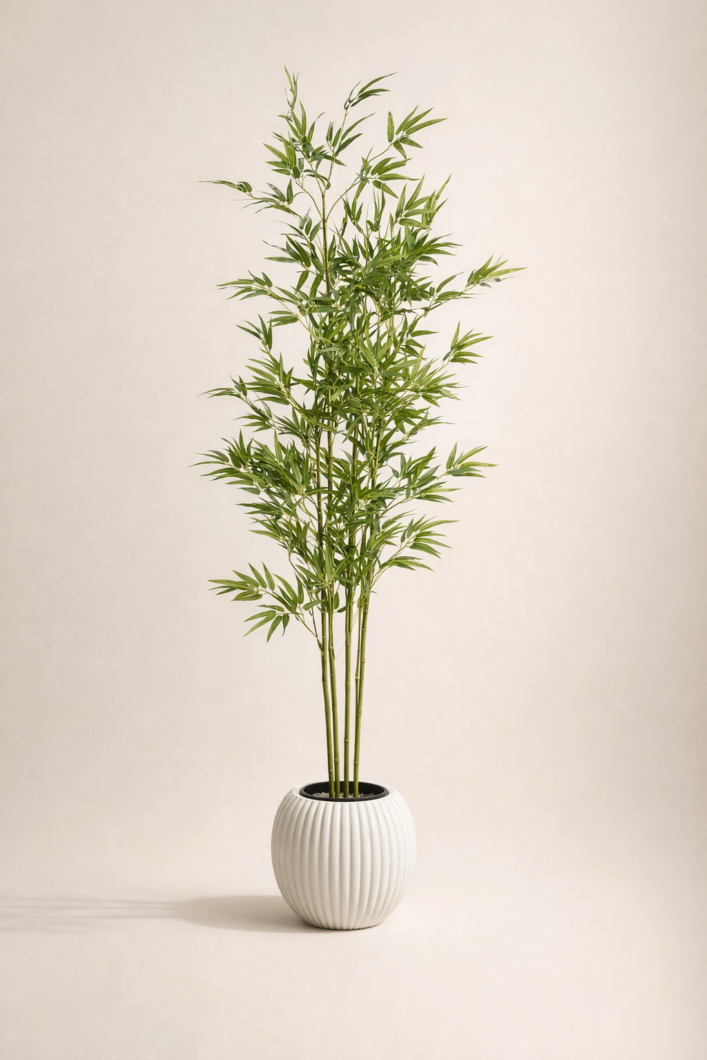 Artificial Bamboo Tree in White Ribbed Pot – 170 cm — full studio view