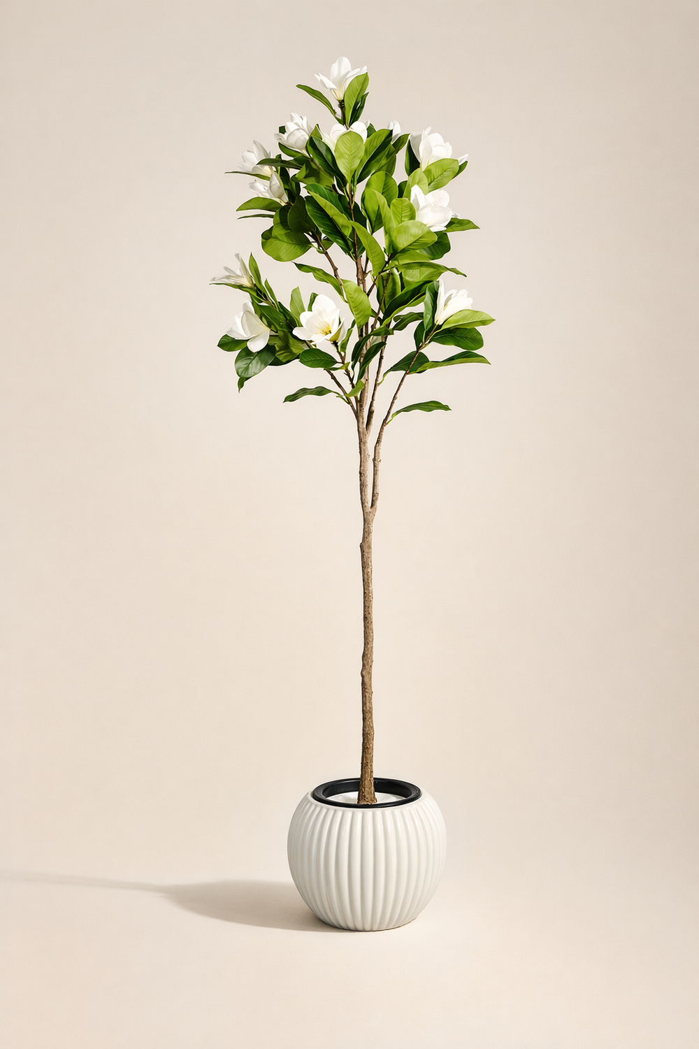 White Magnolia Artificial Tree in White Ribbed Pot – 170 cm — full studio view