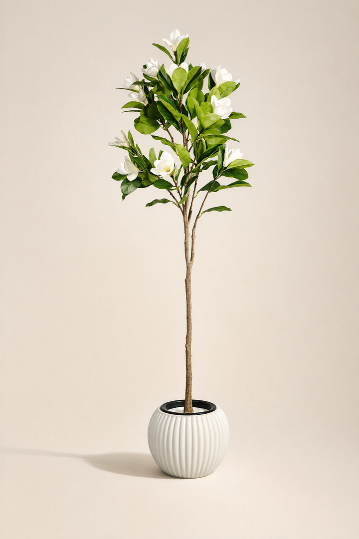 White Magnolia Artificial Tree in White Ribbed Pot – 170 cm — full studio view